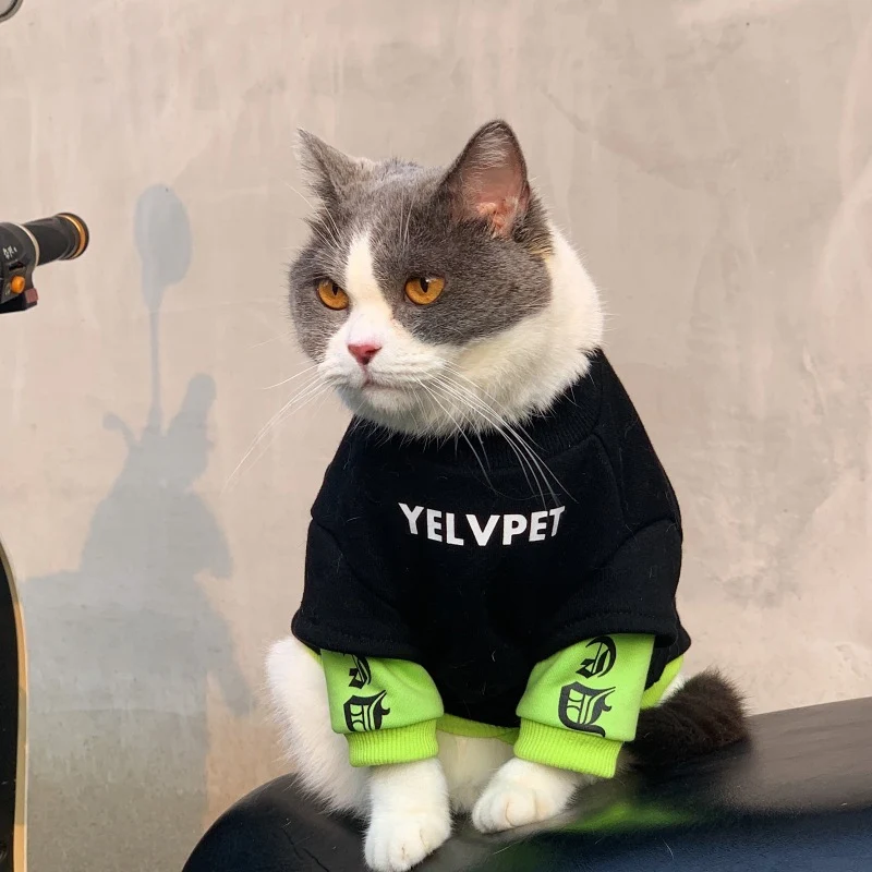 Katzen- und kleine Hundepullover-Sweatshirt