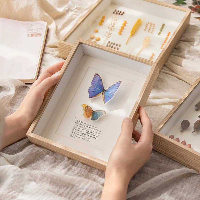 Floral Shadow Box Display Frame für Wohnkultur