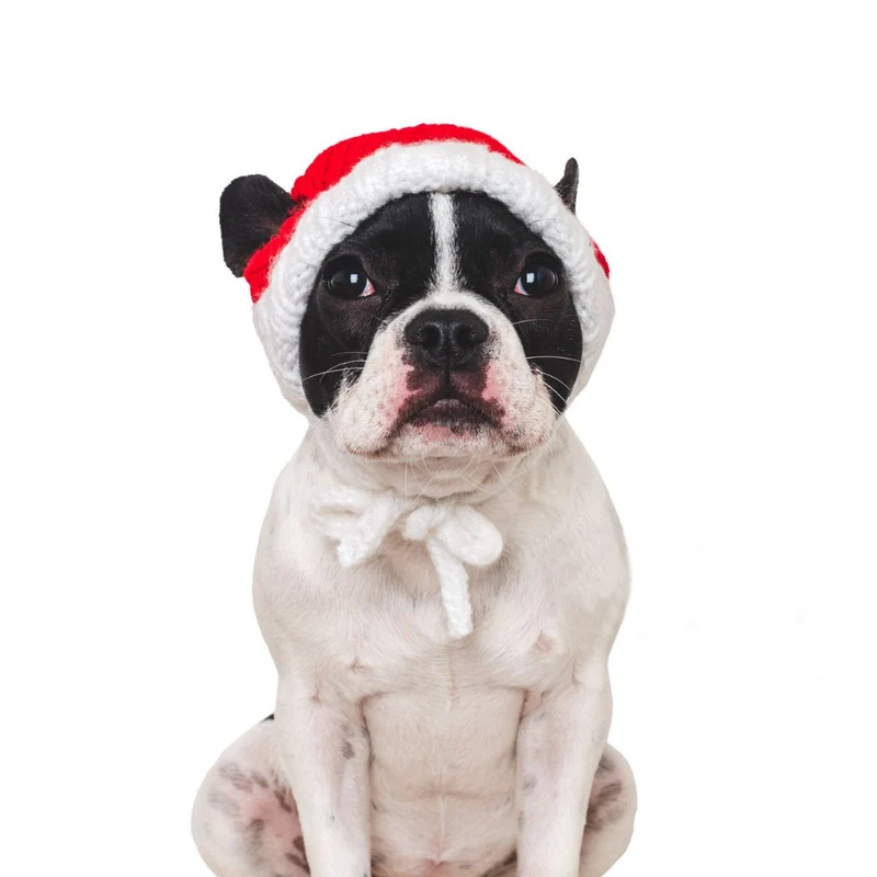 Lustige Weihnachtsmütze für Haustiere