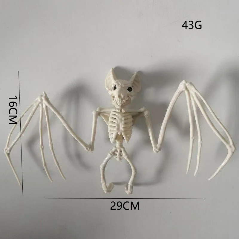 Anatomisches Modell