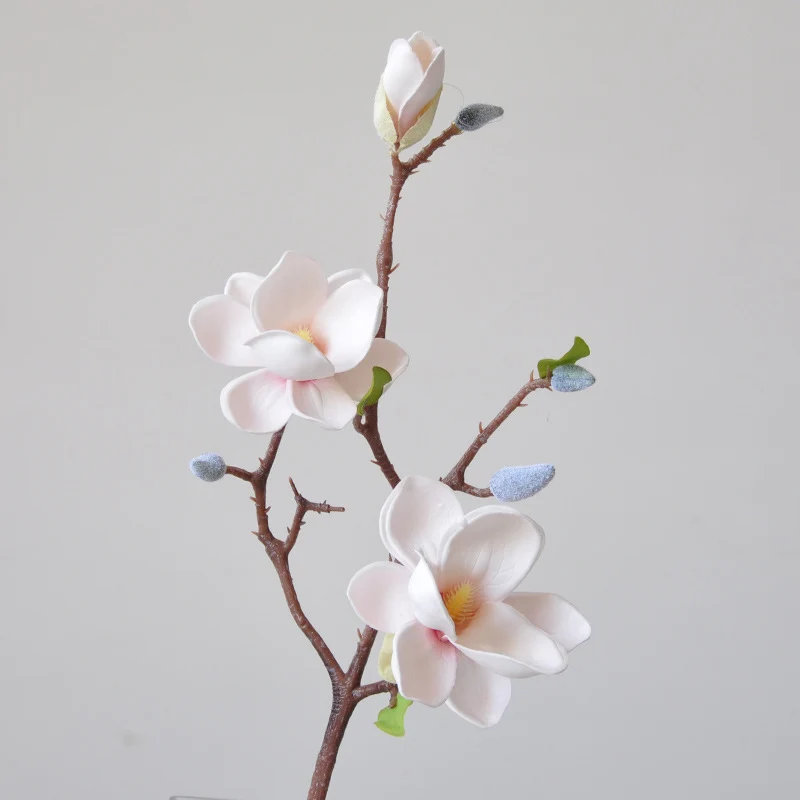 Magnificent Seident magnolia blumenstiel
