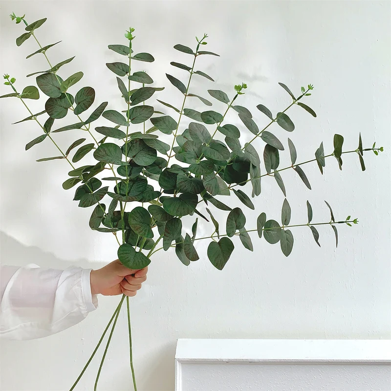 Eukalyptus Dekorative Anordnung