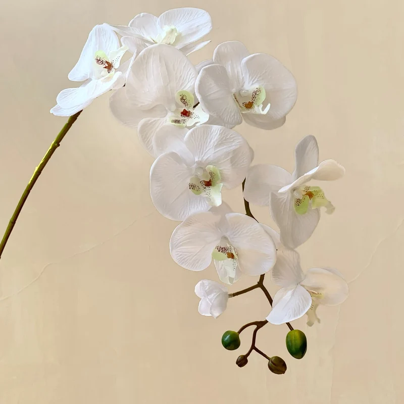 Elegante Künstliche Orchideenblütenstängel