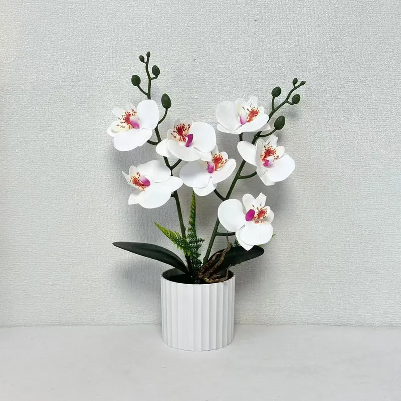 Realistische Orchideenpflanzenanordnung