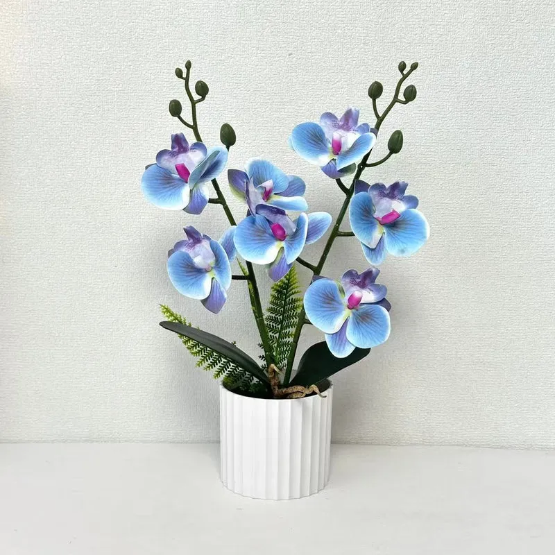 Realistische Orchideenpflanzenanordnung