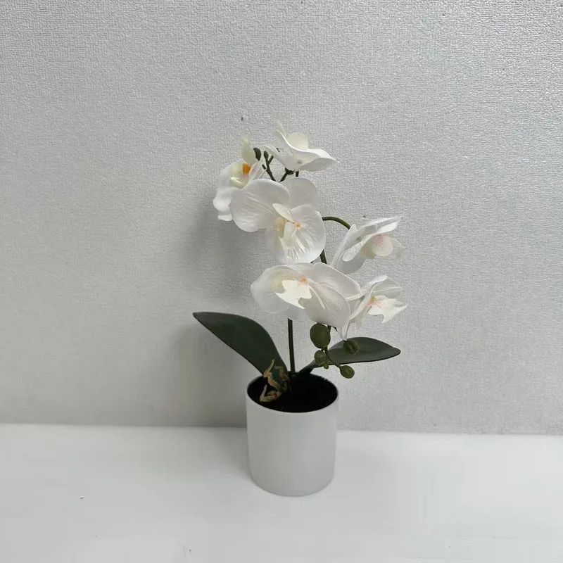 Lifelike Phalaenopsis-Orchideenpflanzenanordnung