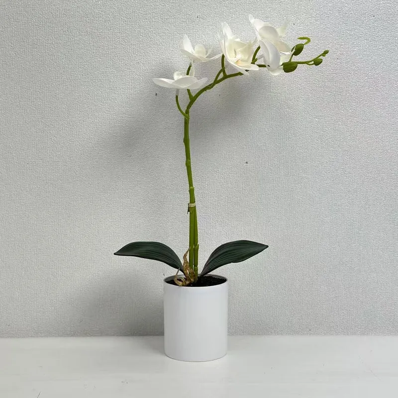 Realistische Künstliche Orchideenstängel