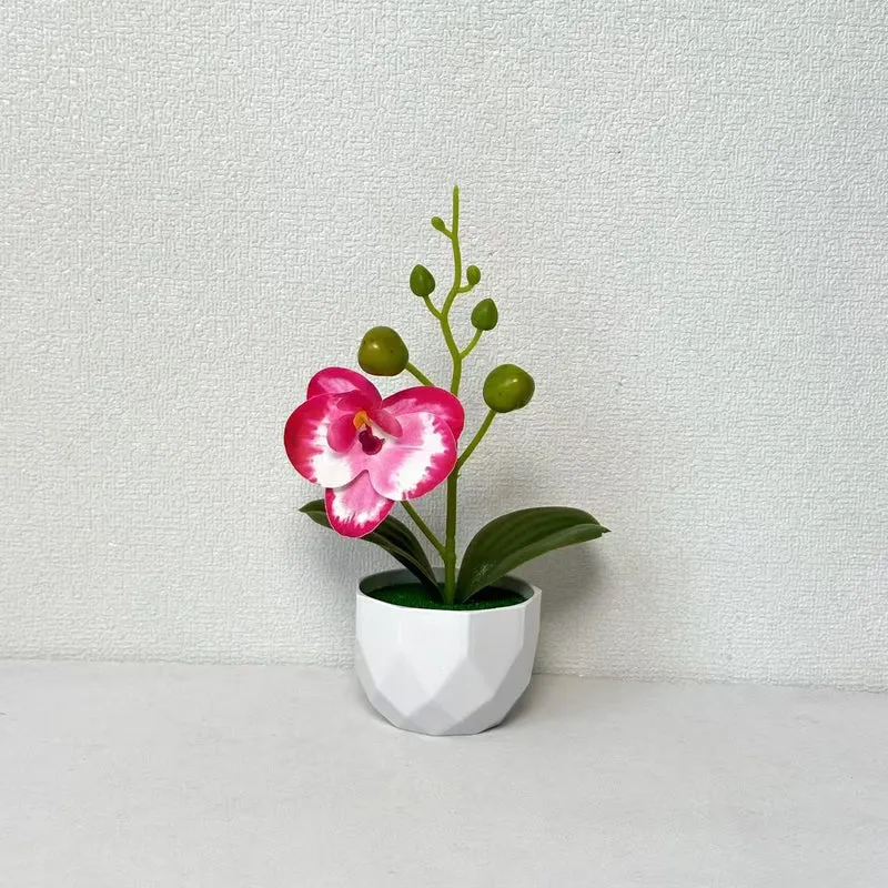Orchideenpflanzenarrangement