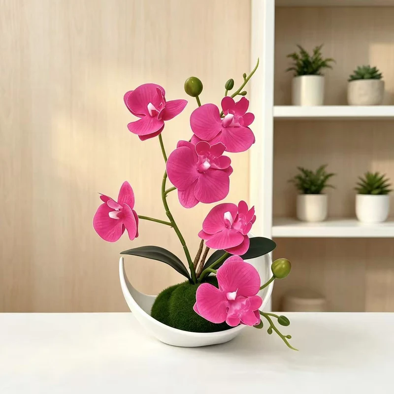 Orchideen Dekorativer Mittelpunkt
