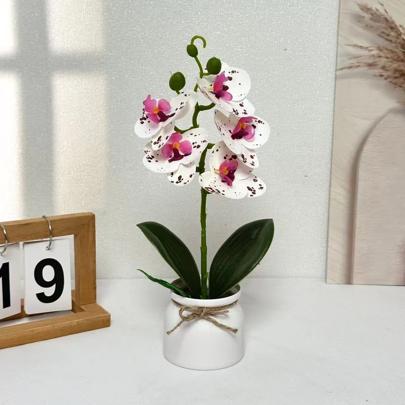 Lebensechte Orchideenpflanzenanordnung für die Innendekoration