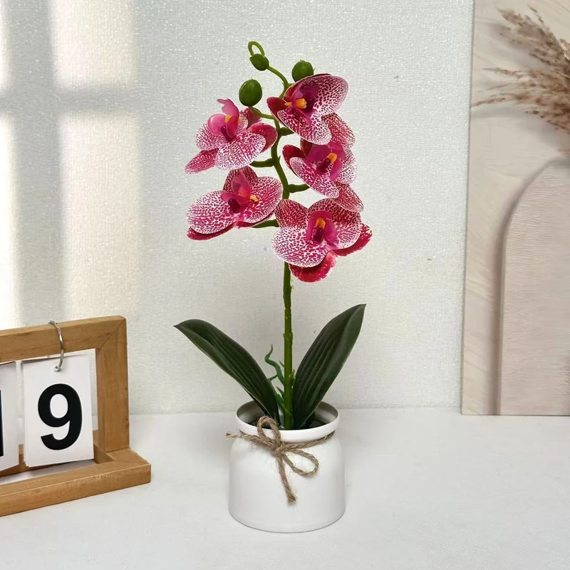 Lebensechte Orchideenpflanzenanordnung für die Innendekoration