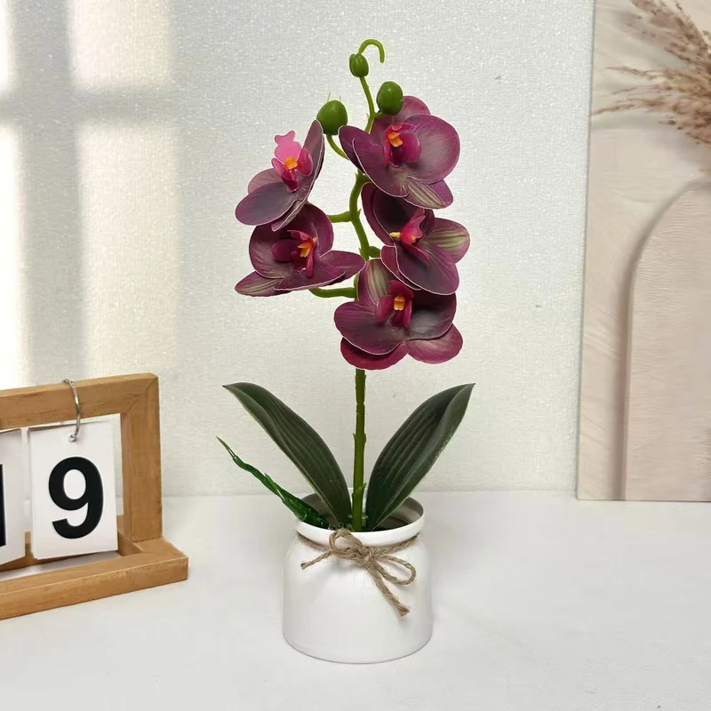 Lebensechte Orchideenpflanzenanordnung für die Innendekoration
