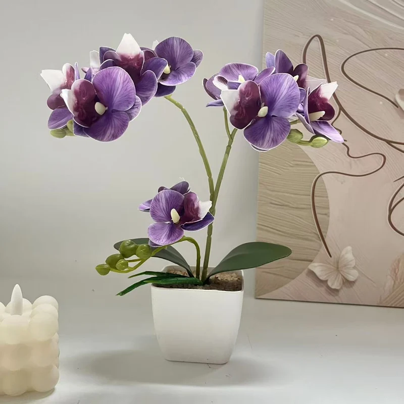 Lebensechte Orchideenpflanzenanordnung für die Heimpräsentation