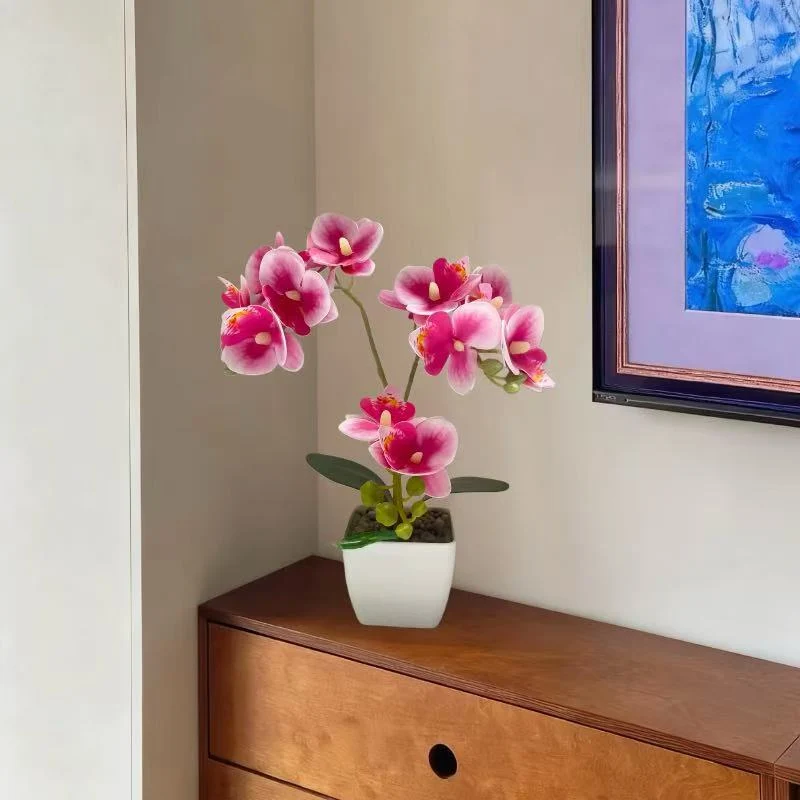 Lebensechte Orchideenpflanzenanordnung für die Heimpräsentation