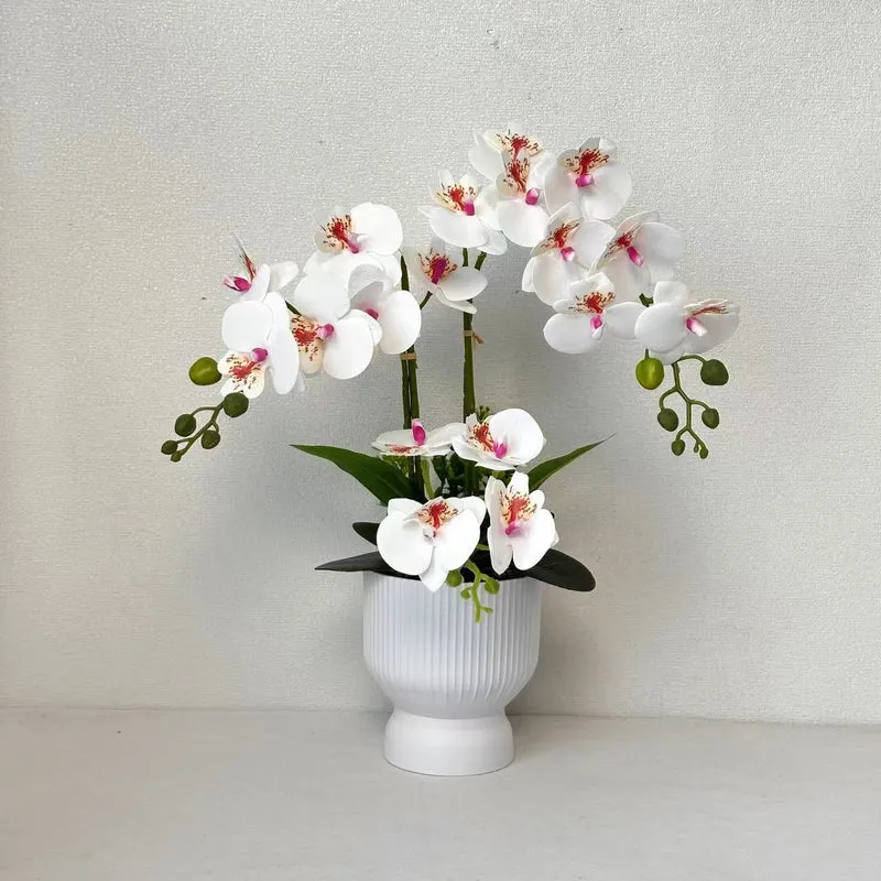 Lebensnahe Orchideenpflanzenarrangement für Tischdekoration