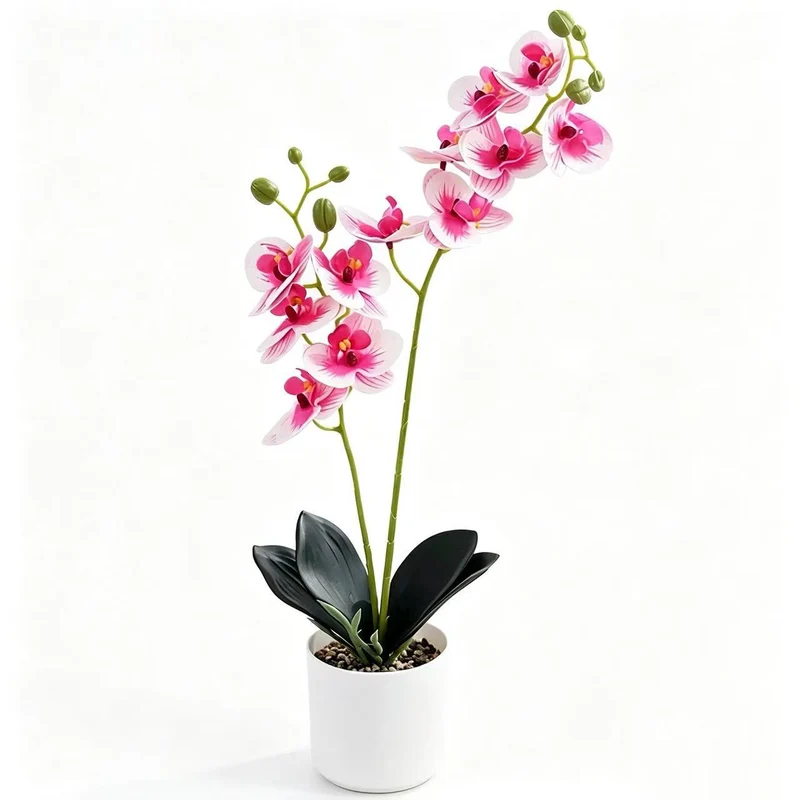Lebensechte Orchidee Home-Dekor