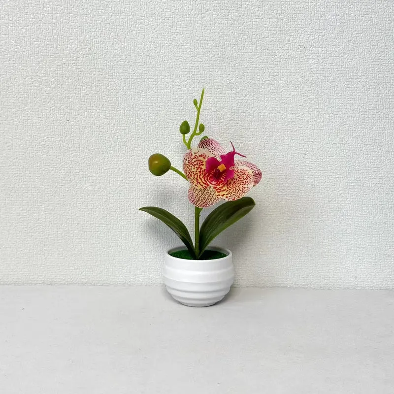 Lebensechte Orchideen Blumenkübel Dekoration