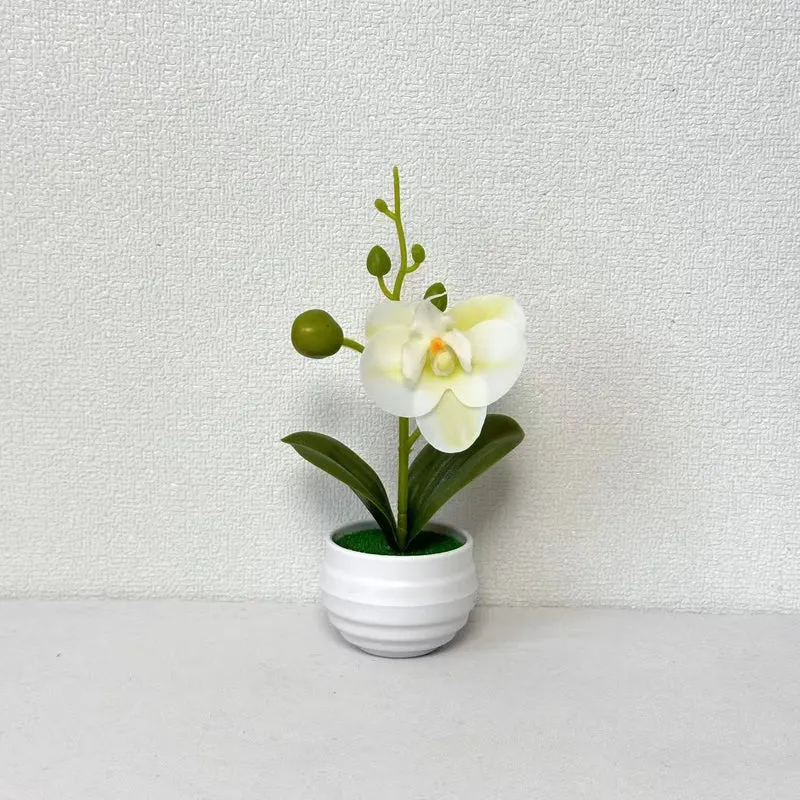 Lebensechte Orchideen Blumenkübel Dekoration