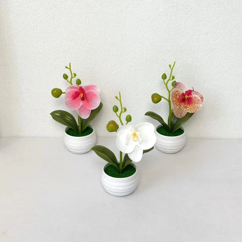 Lebensechte Orchideen Blumenkübel Dekoration