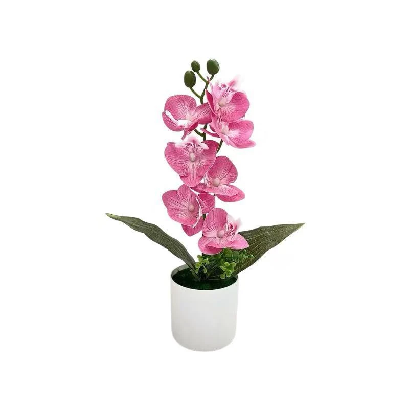 Lebensechte Orchideenblumen-Dekoration