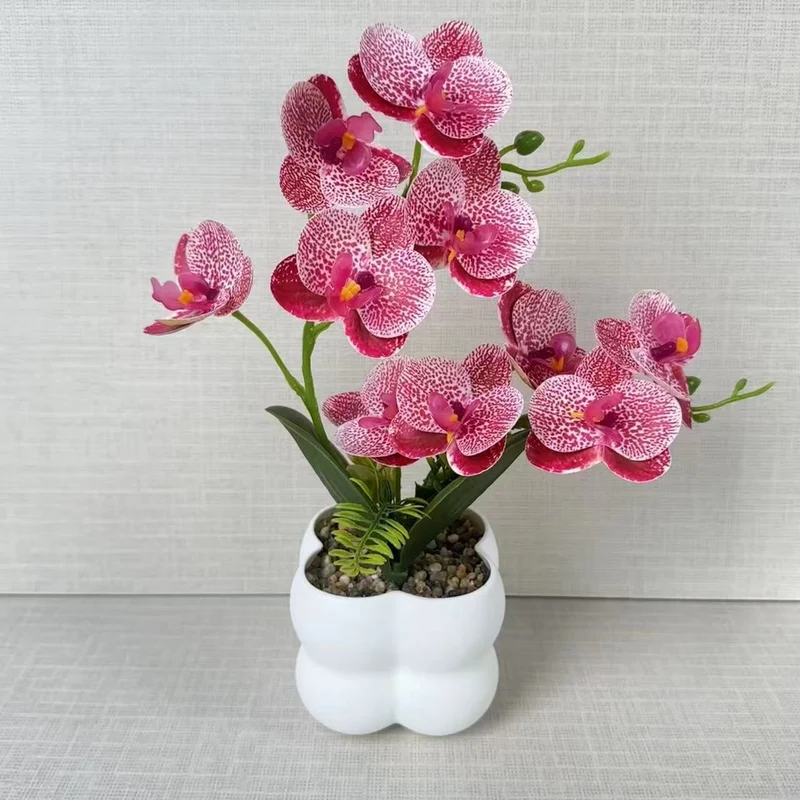 Lebensechte Orchideen-Blumenanzeige