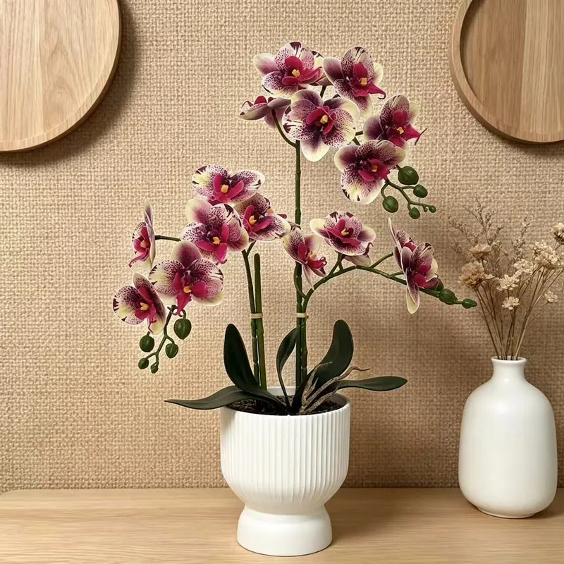 Lebensechte Orchideen Blumen Dekor