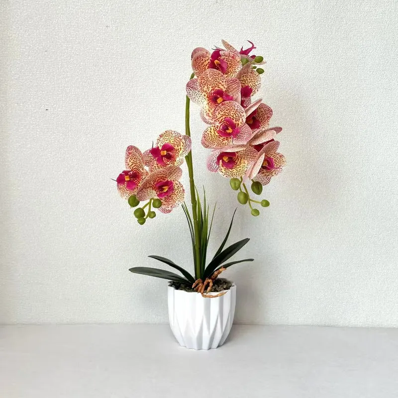 Lebensechte Orchideen-Dekorationspflanze