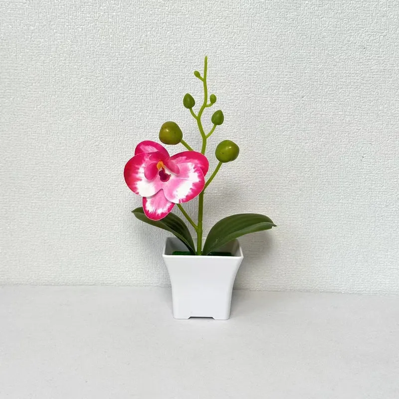 Lebensnahe Miniatur-Orchideenpflanze