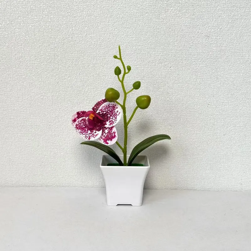 Lebensnahe Miniatur-Orchideenpflanze