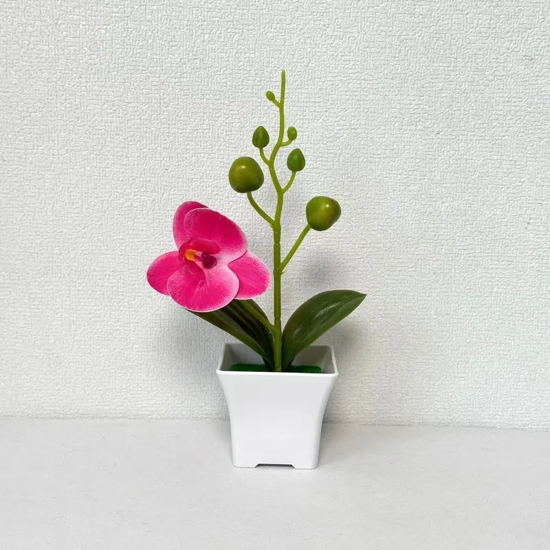 Lebensnahe Miniatur-Orchideenpflanze