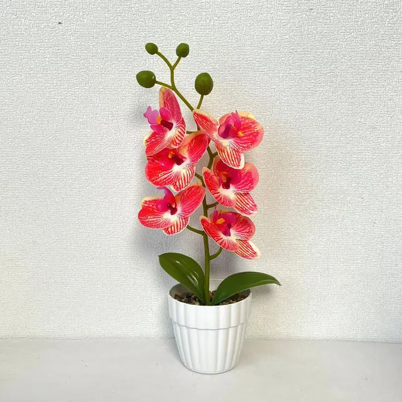 Lebensechte Künstliche Orchideenarrangement für die Wohnkultur