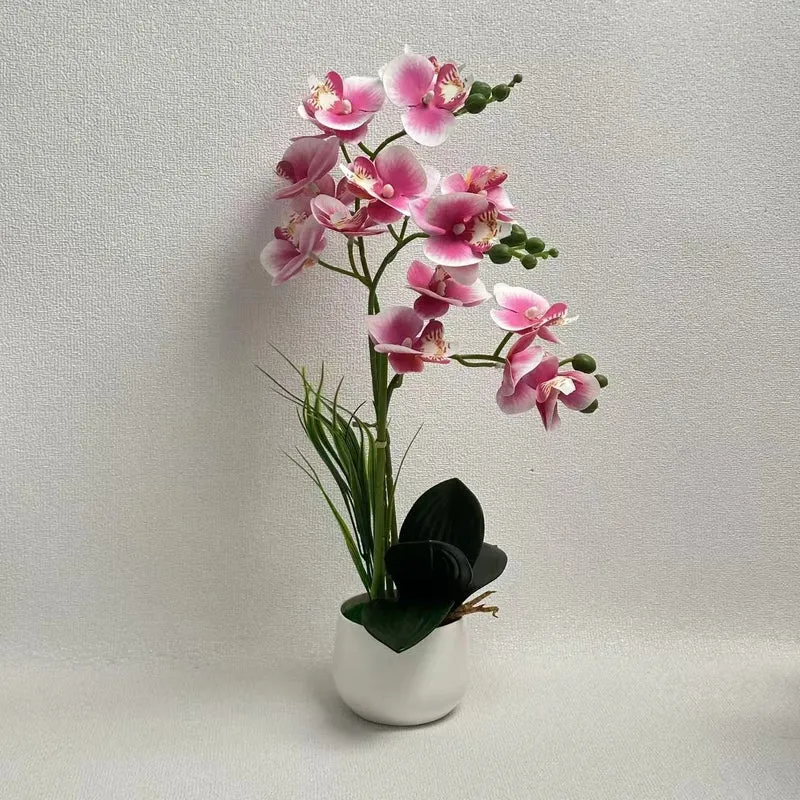 Exquisite Künstlicher Orchideen Ausstellung