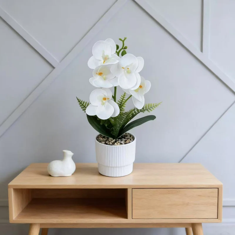 Exotische Orchideenpflanzenanordnung