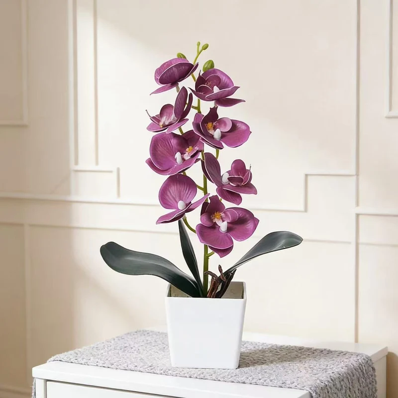 Elegante Orchideenpflanze Dekoration