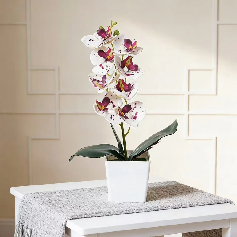 Elegante Orchideenpflanze Dekoration