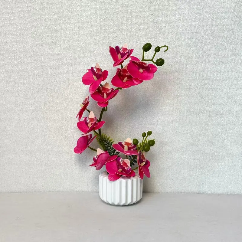 Elegante Orchideenblumenarrangement