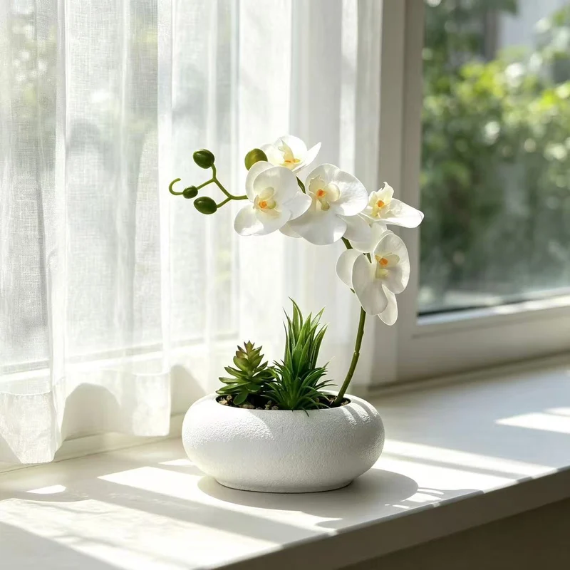 Eleganter Orchideen- und Sukkulentenpflanzer