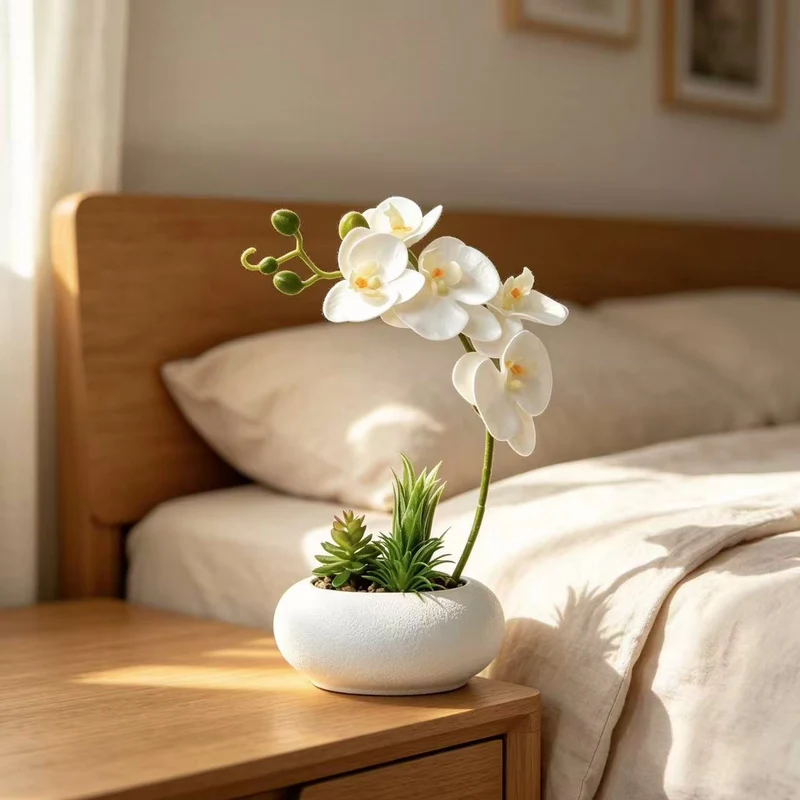 Eleganter Orchideen- und Sukkulentenpflanzer