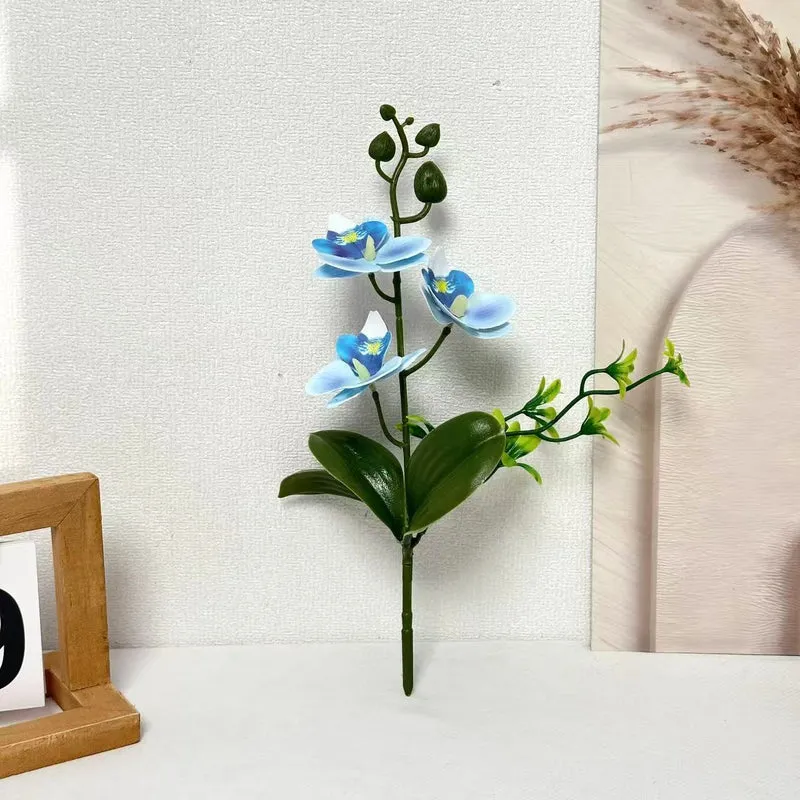Elegante Orchideen Blumenarrangement