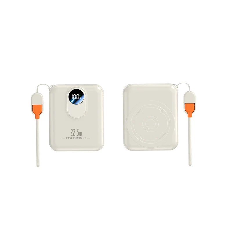 Powerbank für Skanto