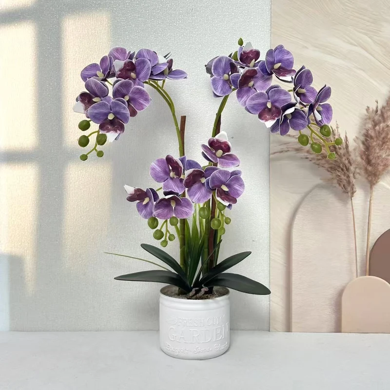 Dekorative Topfpflanzen-Orchideen-Anordnung für Tischdeko