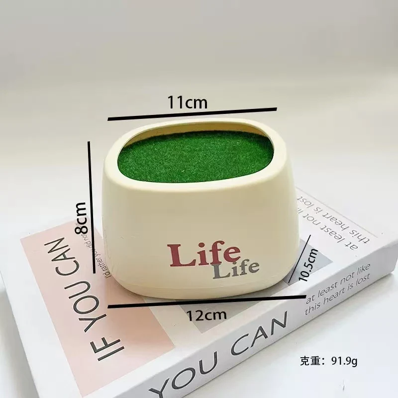Dekorativer Pflanzen Topf