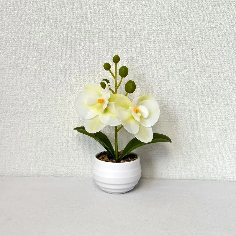 Dekorative Orchideen-Topf
