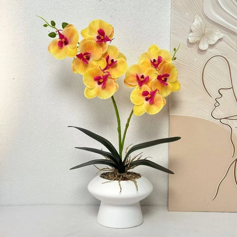Dekorative Orchideenpflanze Tischmittelpunk