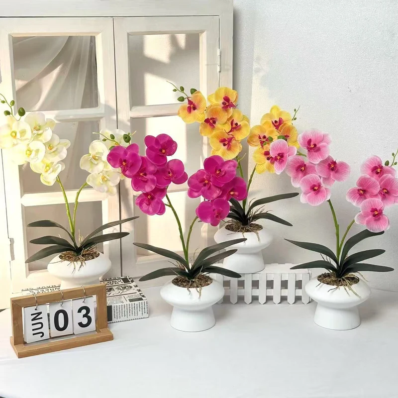 Dekorative Orchideenpflanze Tischmittelpunk