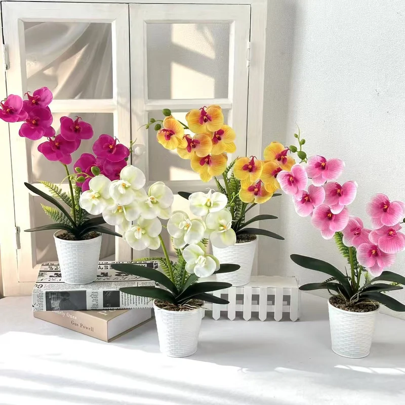 Dekorative Orchideenpflanze für die Inneneinrichtung