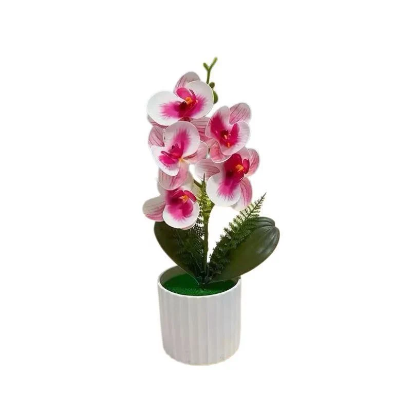 Dekorative Orchideenpflanzenanordnung 1790480742 für Dekoration