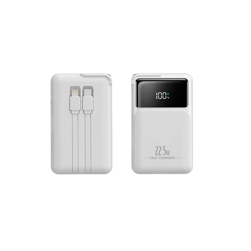 Kompakte Powerbank mit integriertem Ladegerät Skanto
