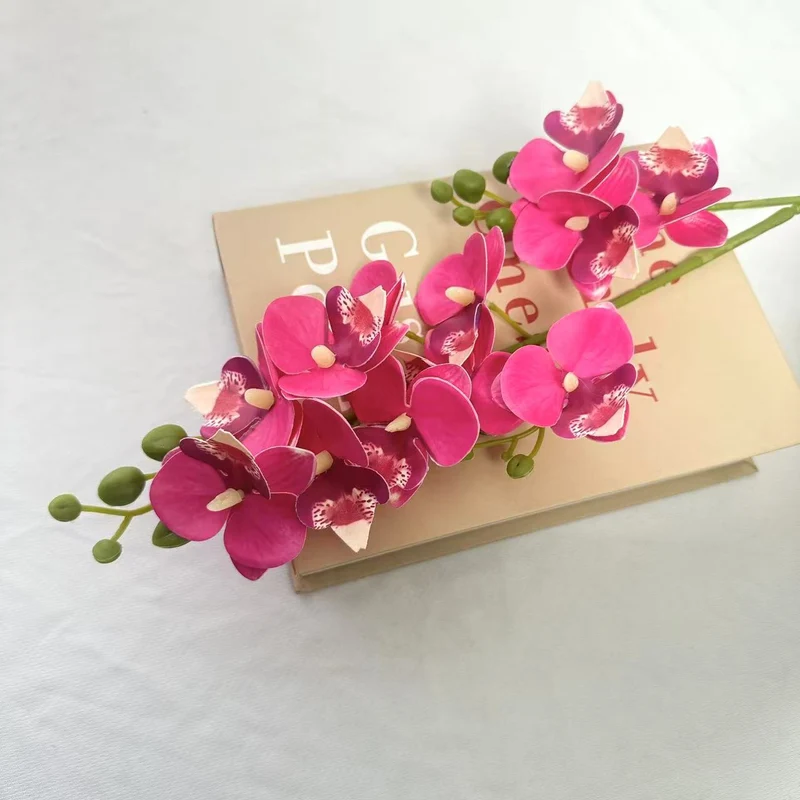 Dekorative Orchidee für die Innenraumgestaltung