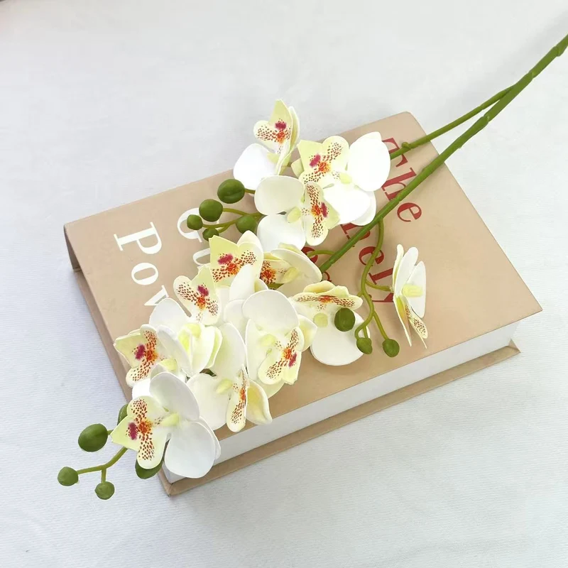Dekorative Orchidee für die Innenraumgestaltung